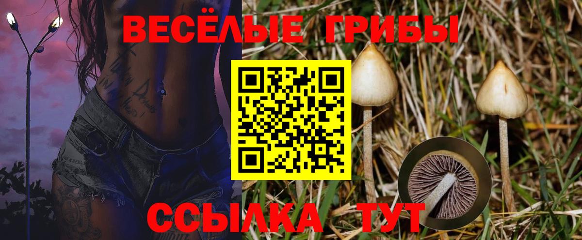 Псилоцибиновые грибы прущие грибы  Вход с VPN  Санкт-Петербург 